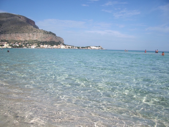 mare